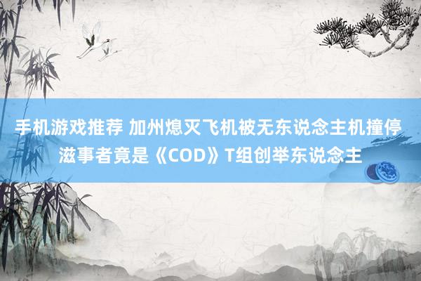 手机游戏推荐 加州熄灭飞机被无东说念主机撞停 滋事者竟是《COD》T组创举东说念主